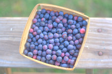 Load image into Gallery viewer, Nutrition by Christen // Small-Batch Jam
